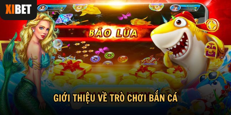 Tìm hiểu về luật chơi và những điểm hấp dẫn của game bắn cá
