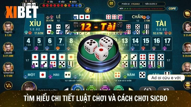 Người chơi cần hiểu rõ về luật chơi và cách chơi sicbo