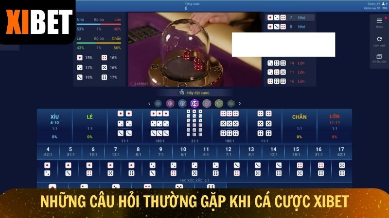 Những câu hỏi thường gặp khi cá cược Xibet