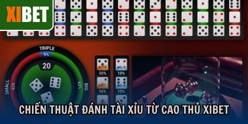 Chiến thuật đánh tài xỉu từ cao thủ Xibet