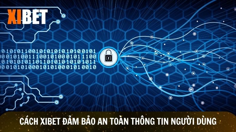 Xibet áp dụng công nghệ đảm bảo an toàn thông tin người dùng