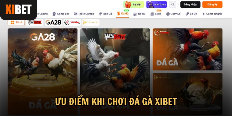 Những ưu điểm vượt trội mà Xibet mang đến cho người chơi