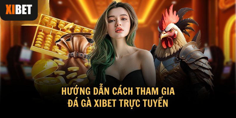Hướng dẫn cách tham gia đá gà Xibet trực tuyến