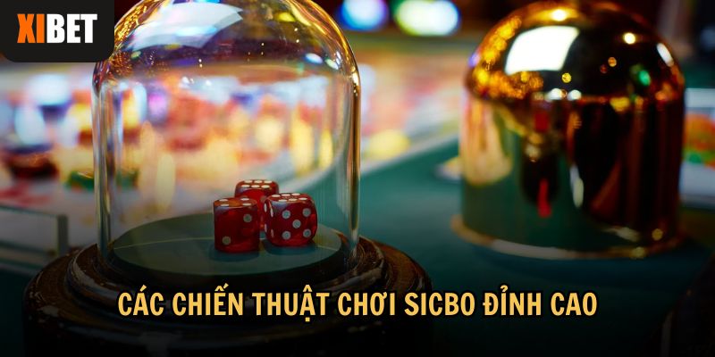 Chiến thuật hiệu quả theo kinh nghiệm chơi Sicbo