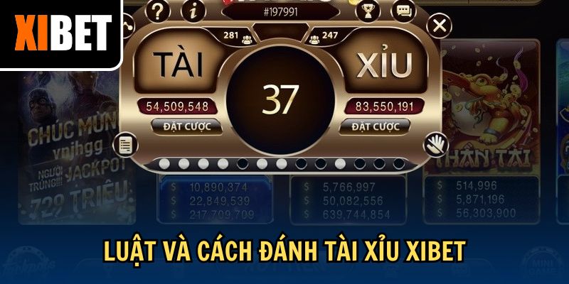 Luật và cách đánh tài xỉu Xibet