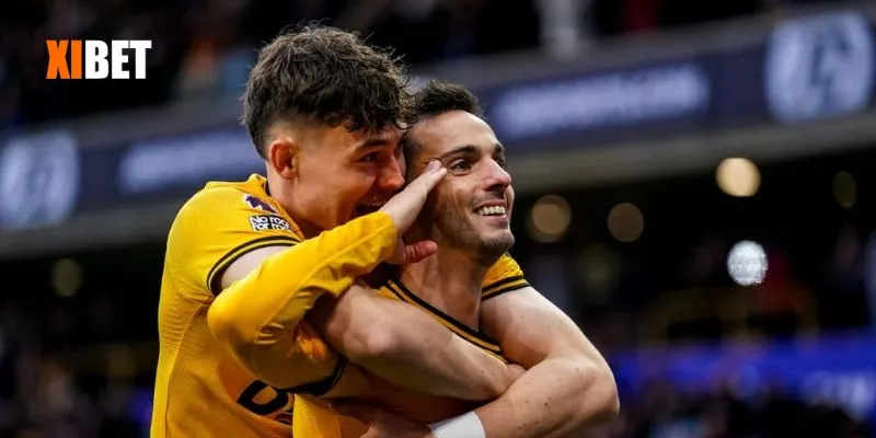 Nhận định Wolverhampton ngày 27/8/2025