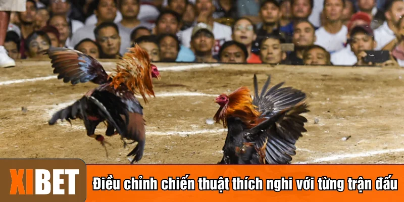 Điều chỉnh chiến thuật thích nghi với từng trận đấu