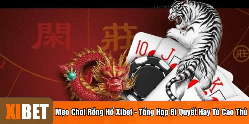 Mẹo chơi rồng hổ