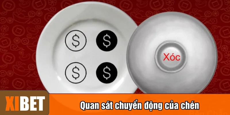Quan sát chuyển động của chén