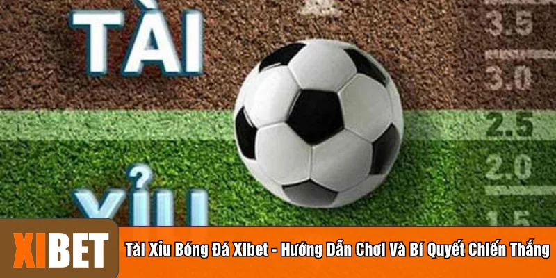 Tài xỉu bóng đá