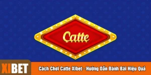 Cách chơi Catte
