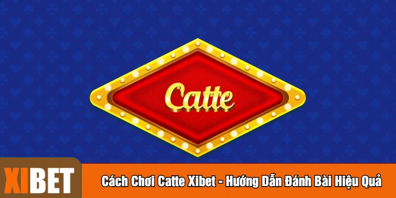 Cách chơi Catte