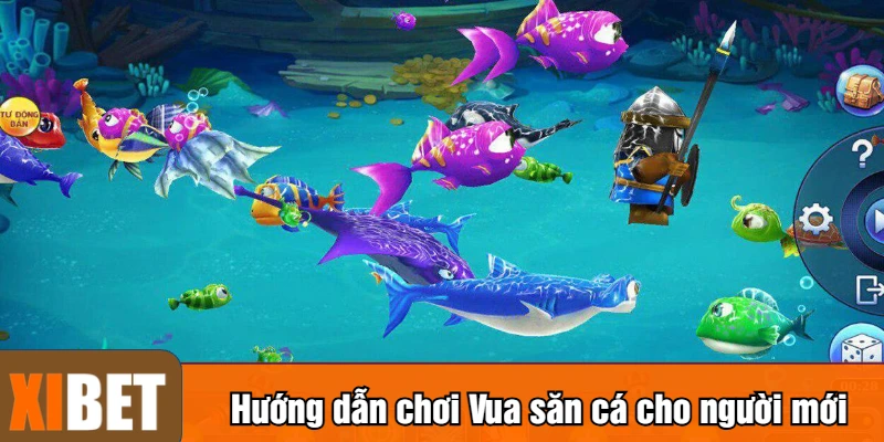 Hướng dẫn chơi Vua săn cá cho người mới