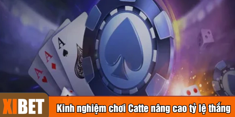 Kinh nghiệm chơi Catte nâng cao tỷ lệ thắng