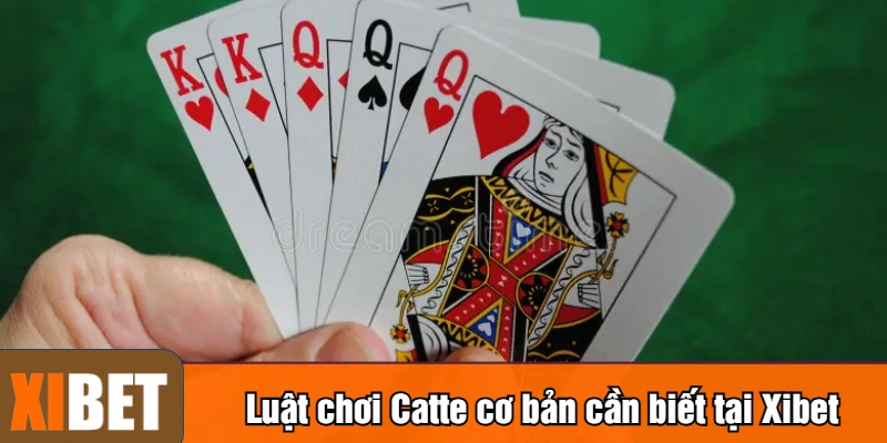 Luật chơi Catte cơ bản cần biết tại Xibet